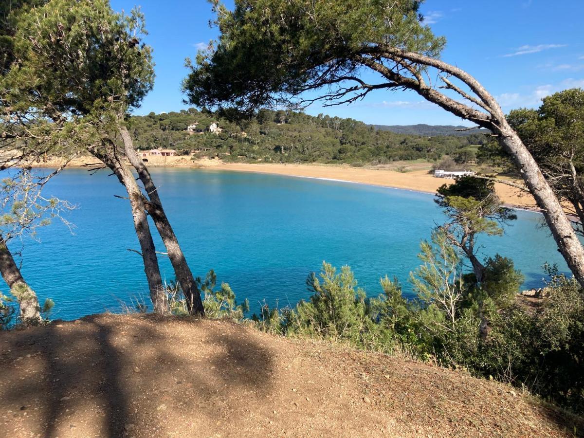 Apartamento Floral Al Centro De Palamos Con Wi-Fi Εξωτερικό φωτογραφία